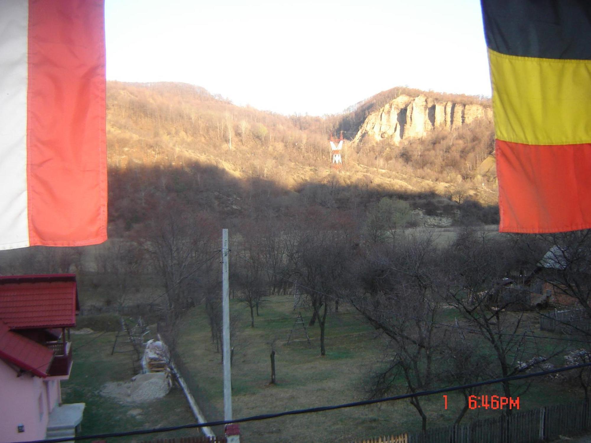 Pensiunea Nicky Oestii Ungureni Exterior foto