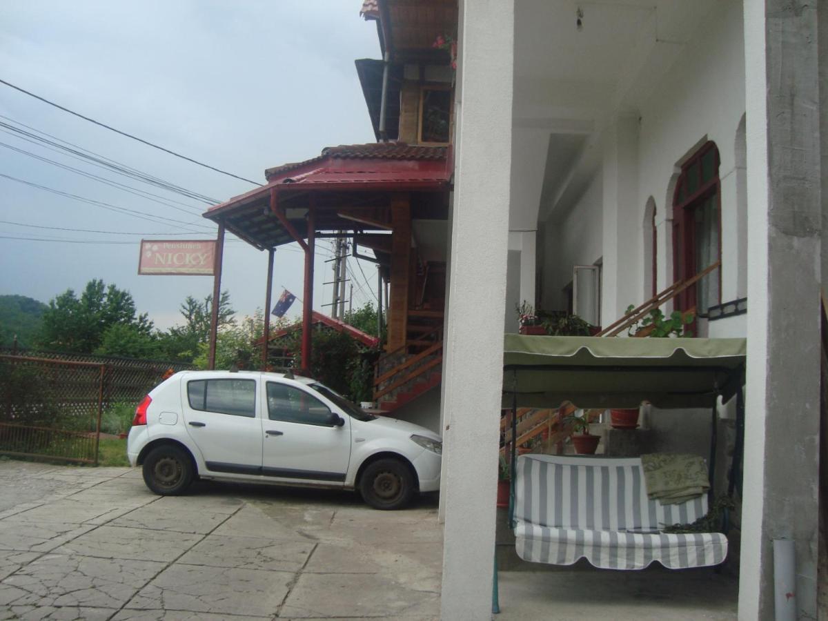 Pensiunea Nicky Oestii Ungureni Exterior foto