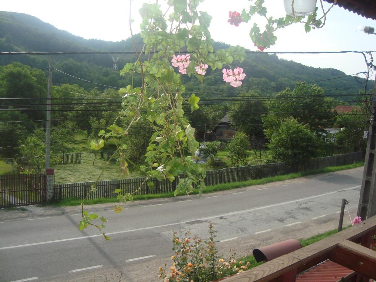 Pensiunea Nicky Oestii Ungureni Exterior foto