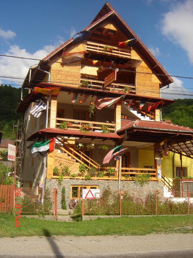 Pensiunea Nicky Oestii Ungureni Exterior foto