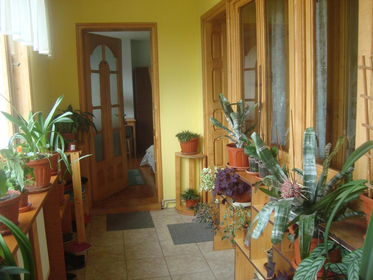 Pensiunea Nicky Oestii Ungureni Exterior foto