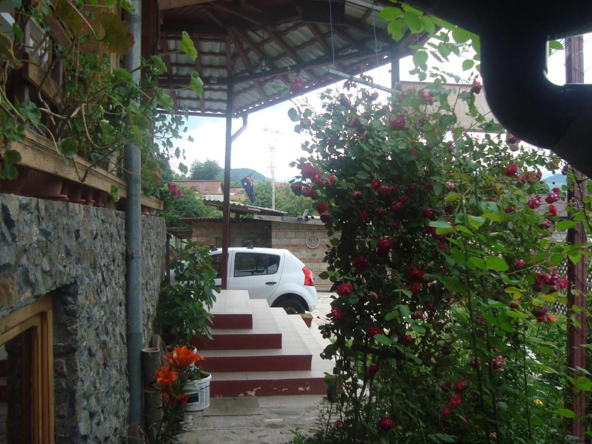 Pensiunea Nicky Oestii Ungureni Exterior foto